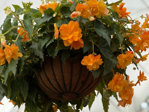 Christian's Bus Co.-Ocean Grove必去景点