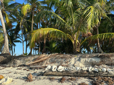 Flying Ginny Catamaran Charter-埃尔波韦尼尔必去景点