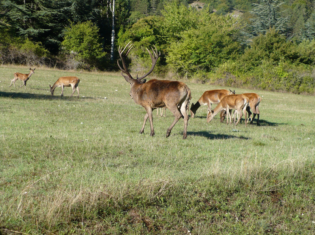 Borgo di Villalago-Villalago必去景点