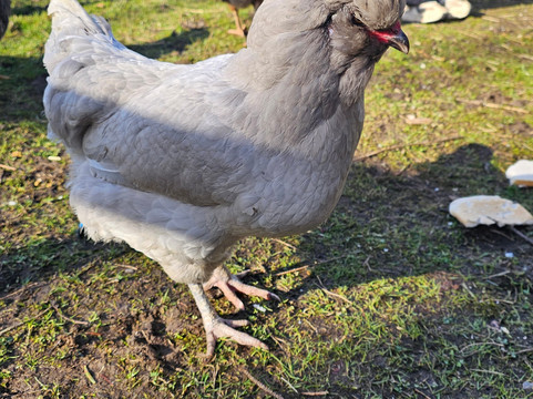 Wee Eden-West Calder必去景点