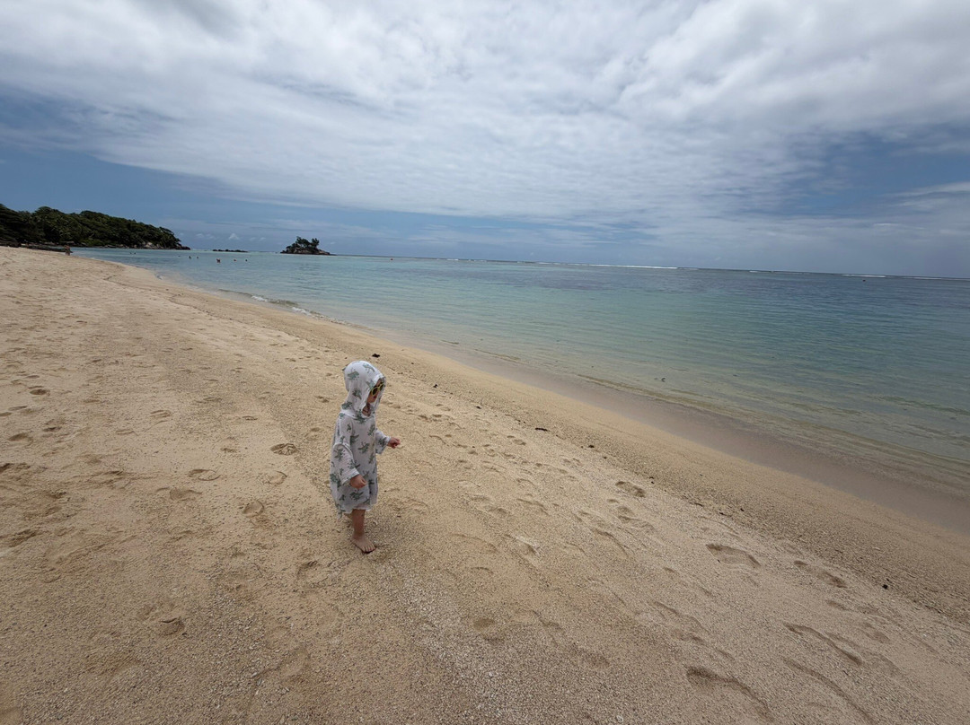 Anse Aux Pins Beach-马埃岛必去景点