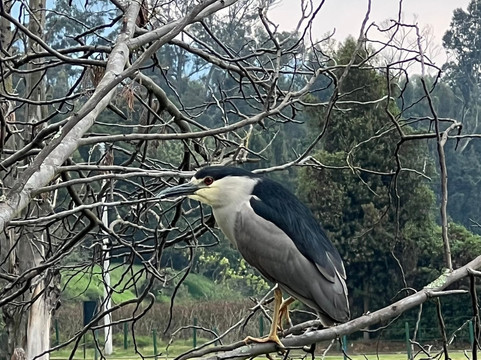 Parque Ecoturistico Puente Sopo-Sopo必去景点