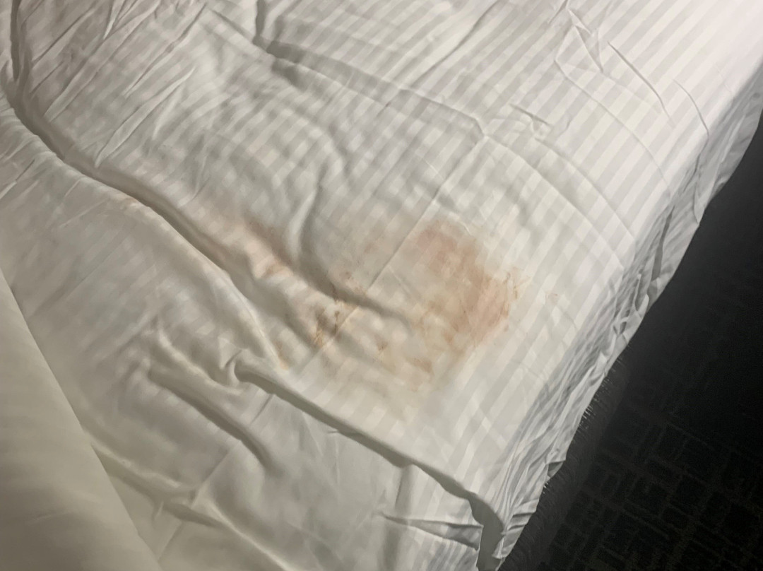 拉昆塔温德姆酒店西长枝/NJ海岸地区主图
