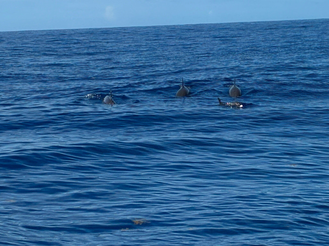 Soleil Excursions-Pointe-Noire必去景点