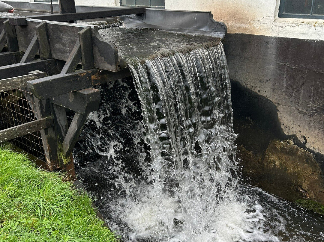 De Middelste Molen-Loenen必去景点