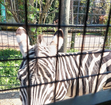 Parco Faunistico Le Cornelle-Valbrembo必去景点