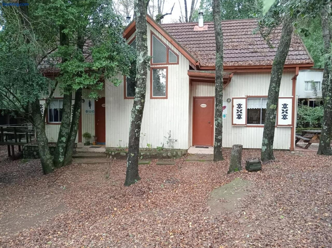 Cabanas La Leona