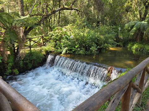 Parque Estadual Campos do Jordao-坎普斯－杜若尔当必去景点