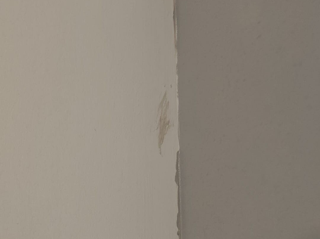 普瑞米尔沃灵顿中心酒店主图