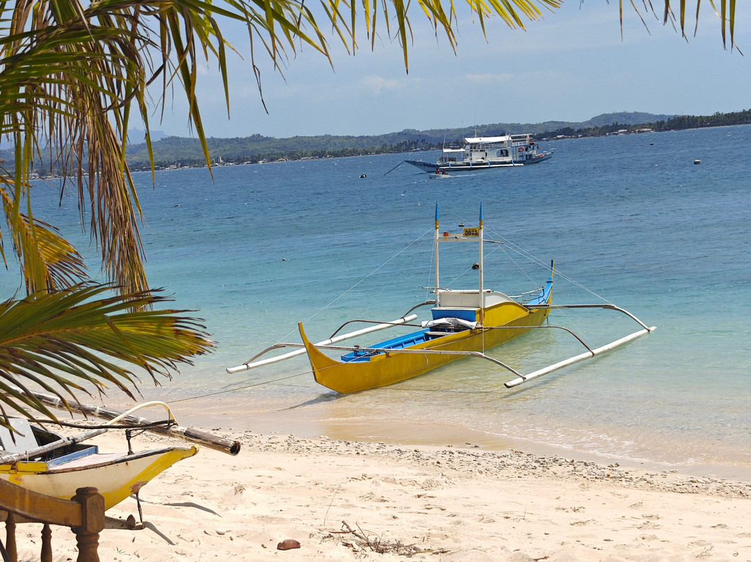 Apo Reef Natural Park-Sablayan必去景点