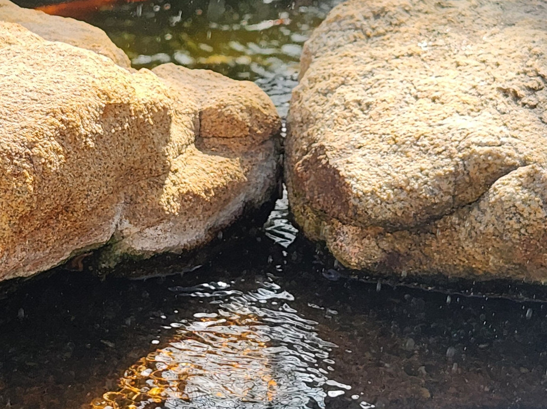 Arizona Boardwalk-斯科茨代尔必去景点