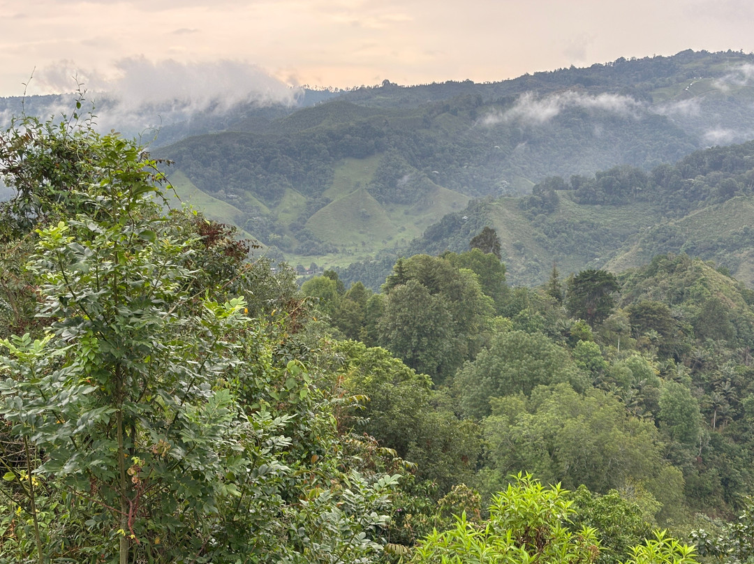 Ecoparque the Mirador Alto De La Cruz-萨伦托必去景点