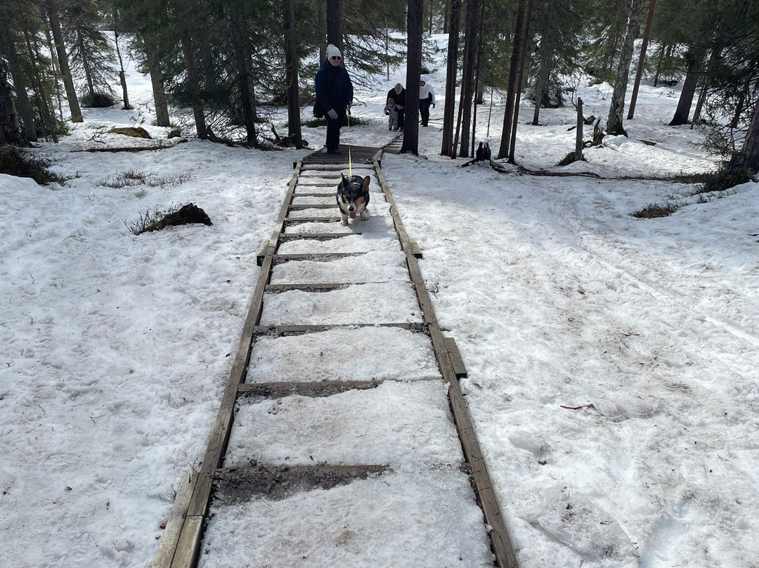 Valtaara winter trail in Ruka, Kuusamo-Ruka必去景点