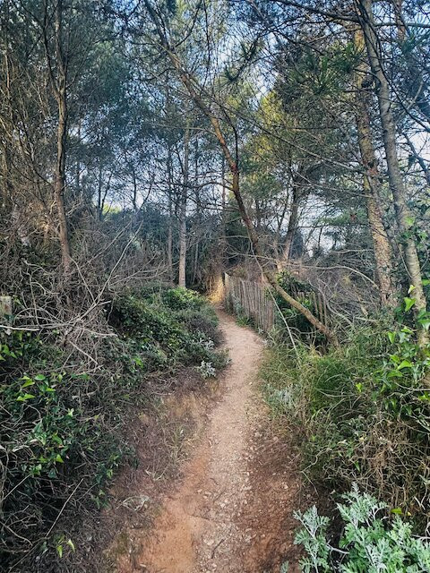 Plage de la Courtade-Porquerolles Island必去景点