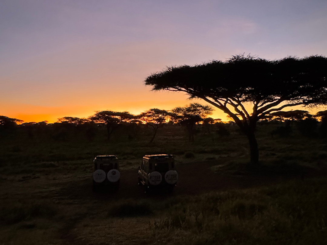 Serengeti Silence - A Tour Operator-阿鲁沙必去景点