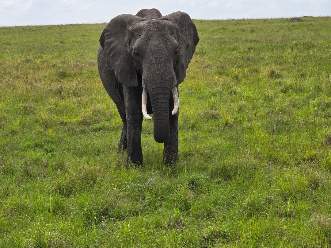 Stokman Safaris-Ruiru必去景点
