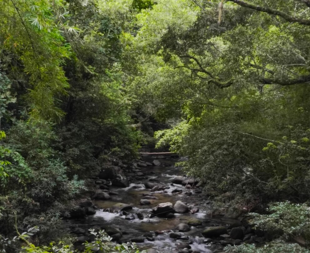 Butterfly Garden Sierra Nevada-Minca必去景点