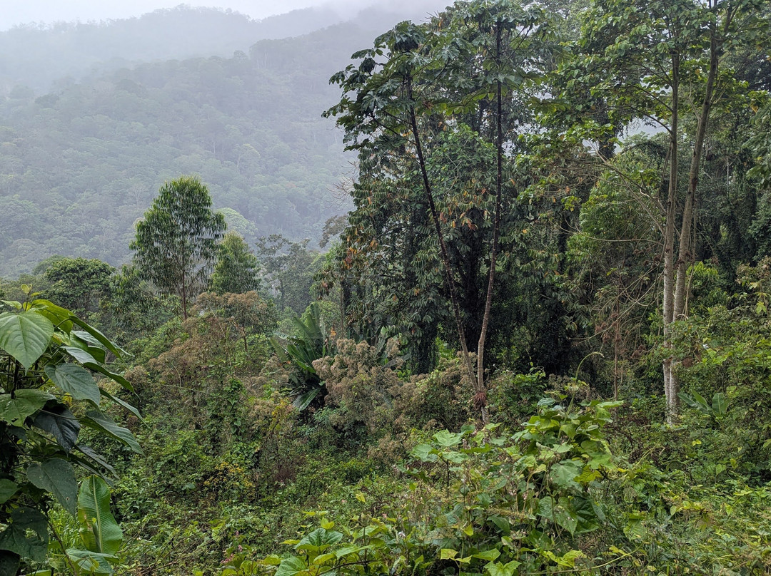 Hacienda Monteclaro主图