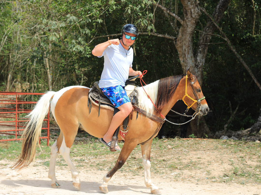 Cenote La Noria-从莫雷洛斯港必去景点