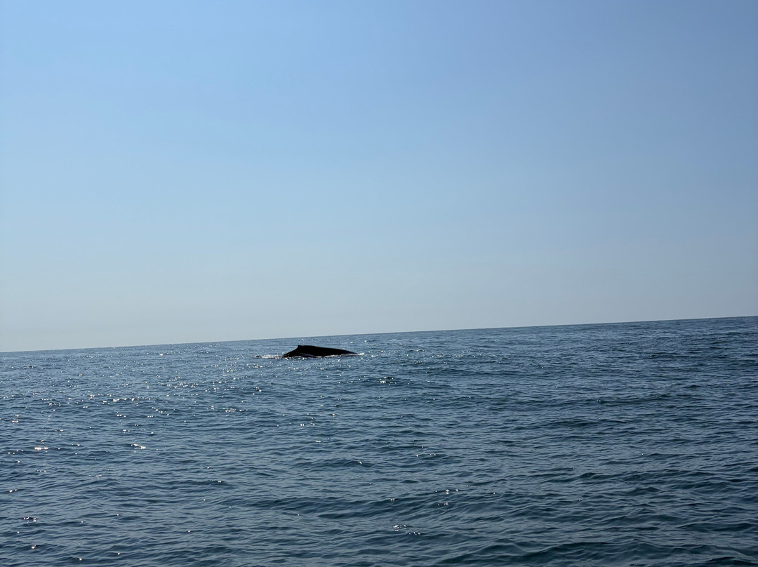 Mani Gonzalez Adventures-Crucecita必去景点