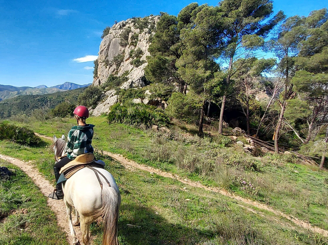 Horse Riding El Chorro-El Chorro必去景点