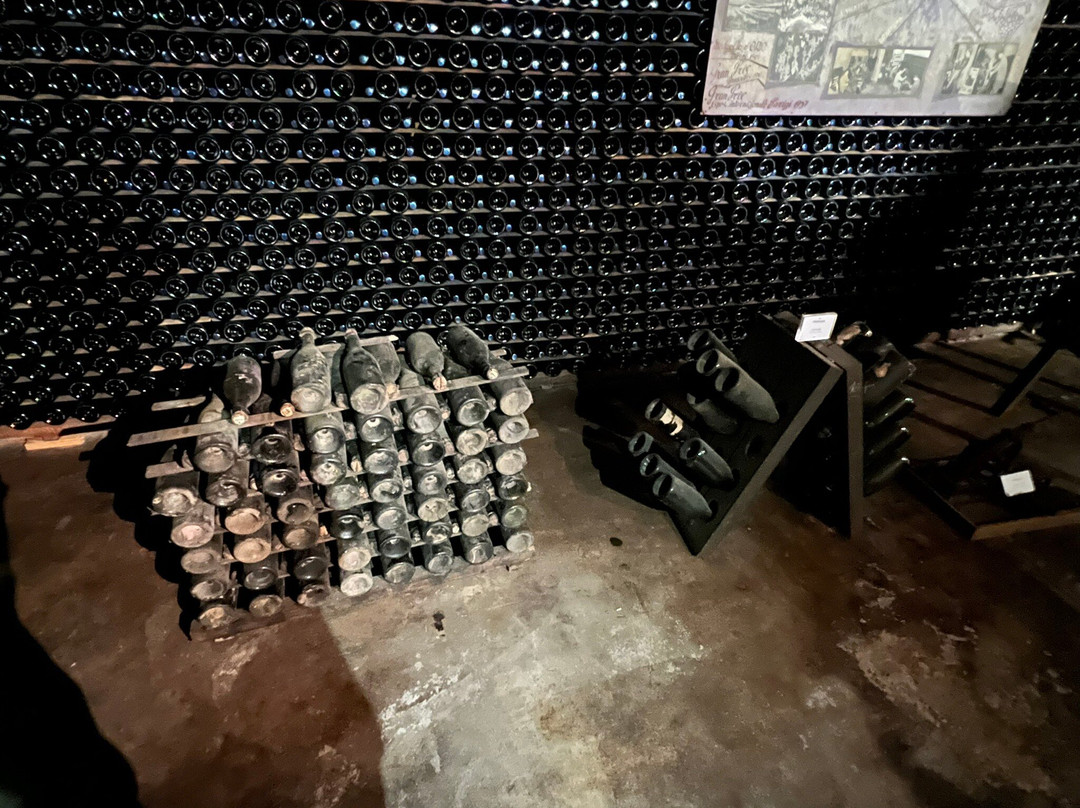 Cantine Ferrari F.lli Lunelli-特伦托必去景点