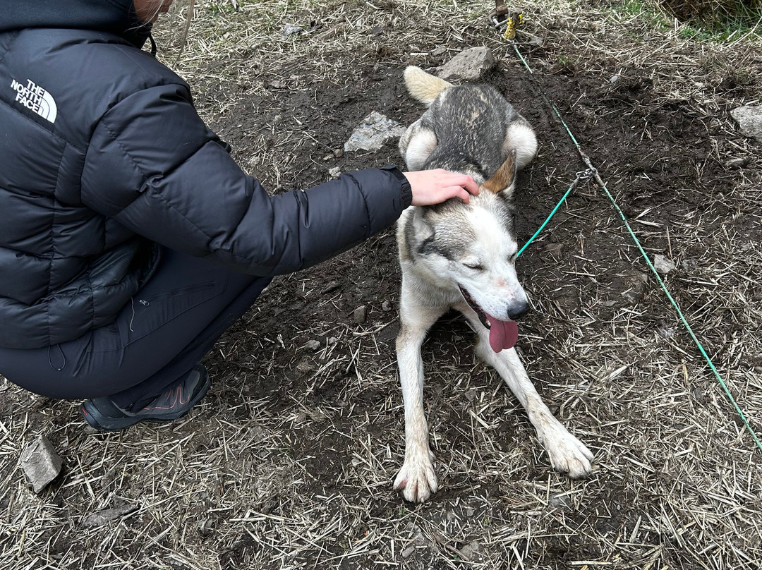 Mynydd Sleddog Adventures-Cerrigydrudion必去景点