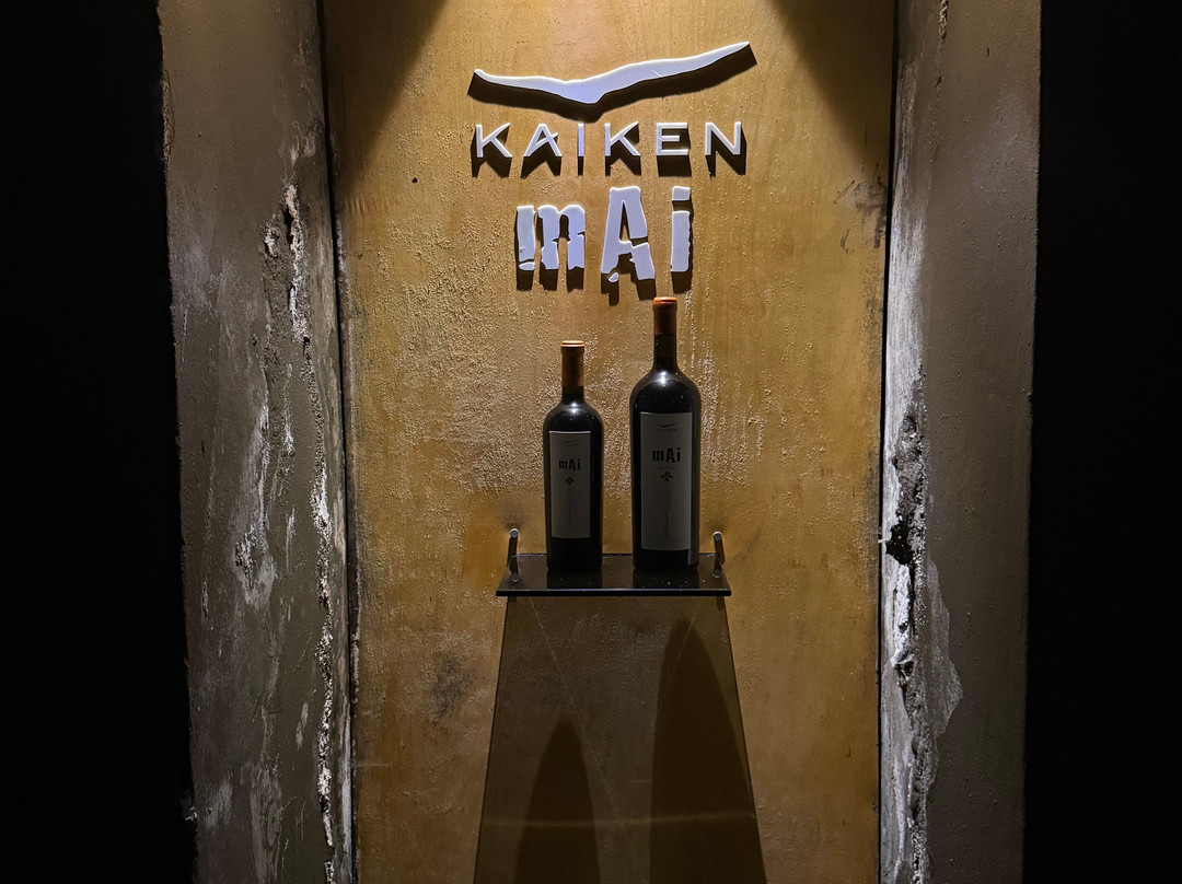 Bodega Kaiken-路冉得库约必去景点