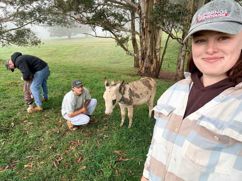Kenzell Farm-Oberon必去景点