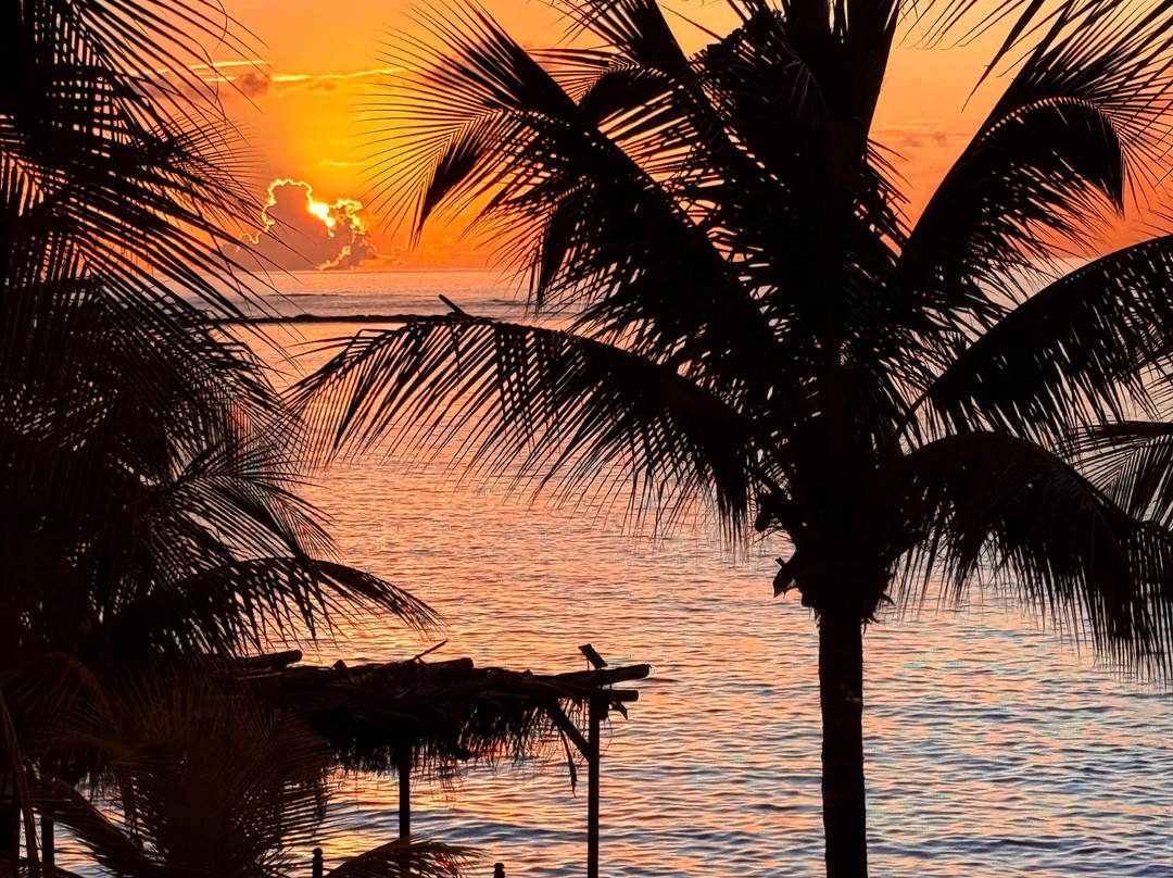 Orca Dive Club - Pereybere-Pereybere必去景点