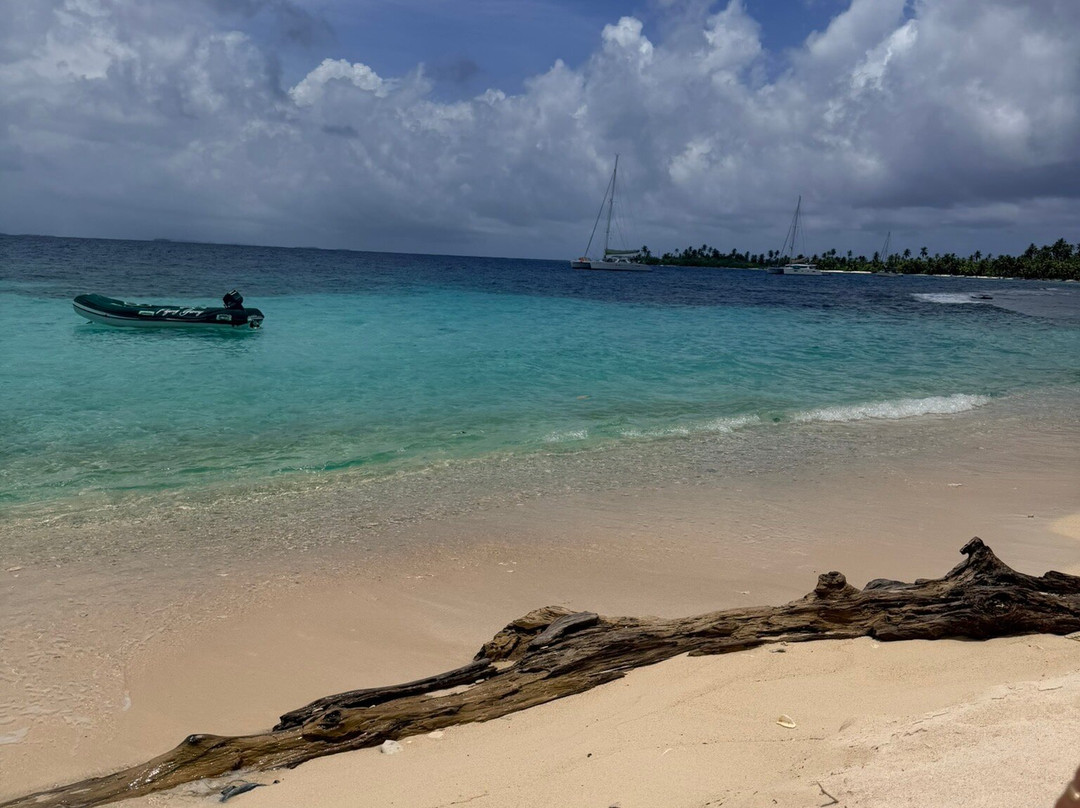 Flying Ginny Catamaran Charter-埃尔波韦尼尔必去景点