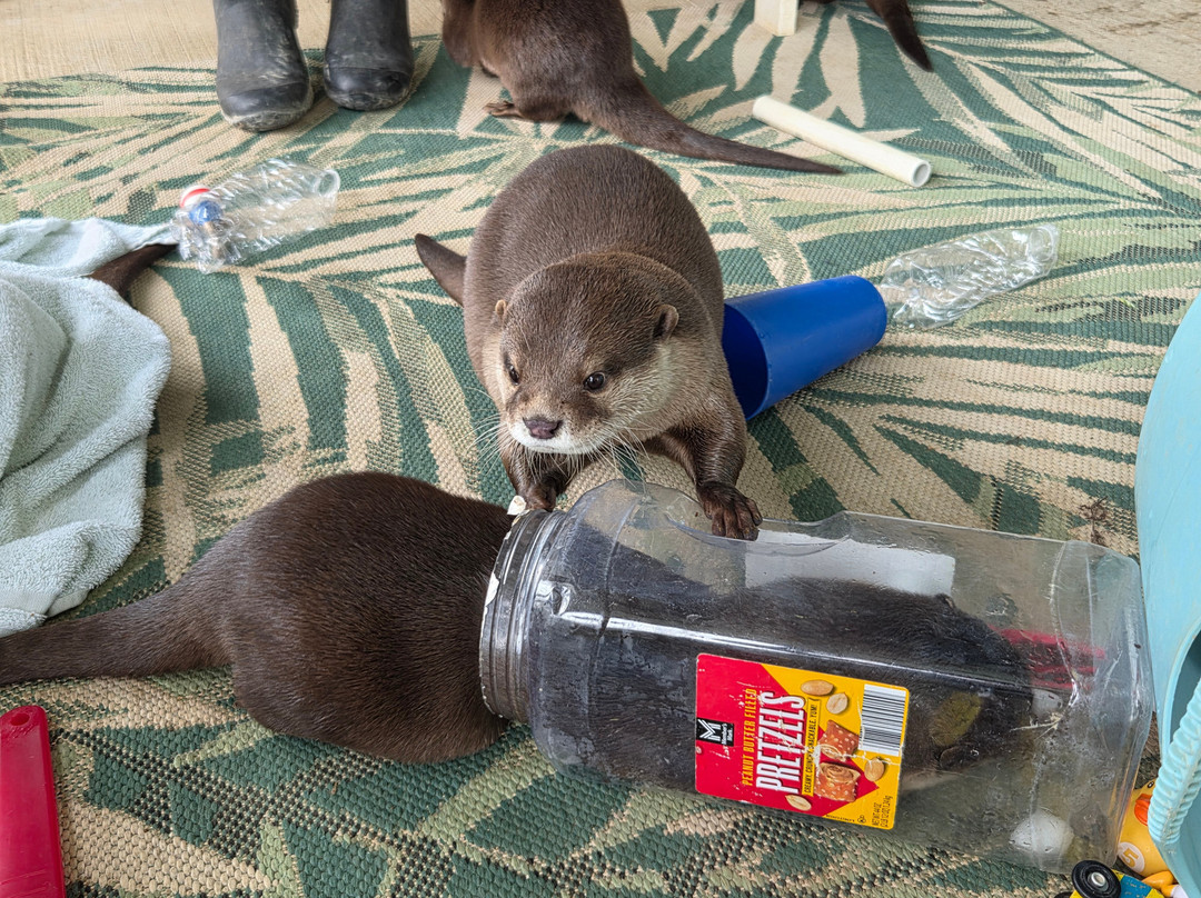 Blue Hills Ranch-McGregor必去景点