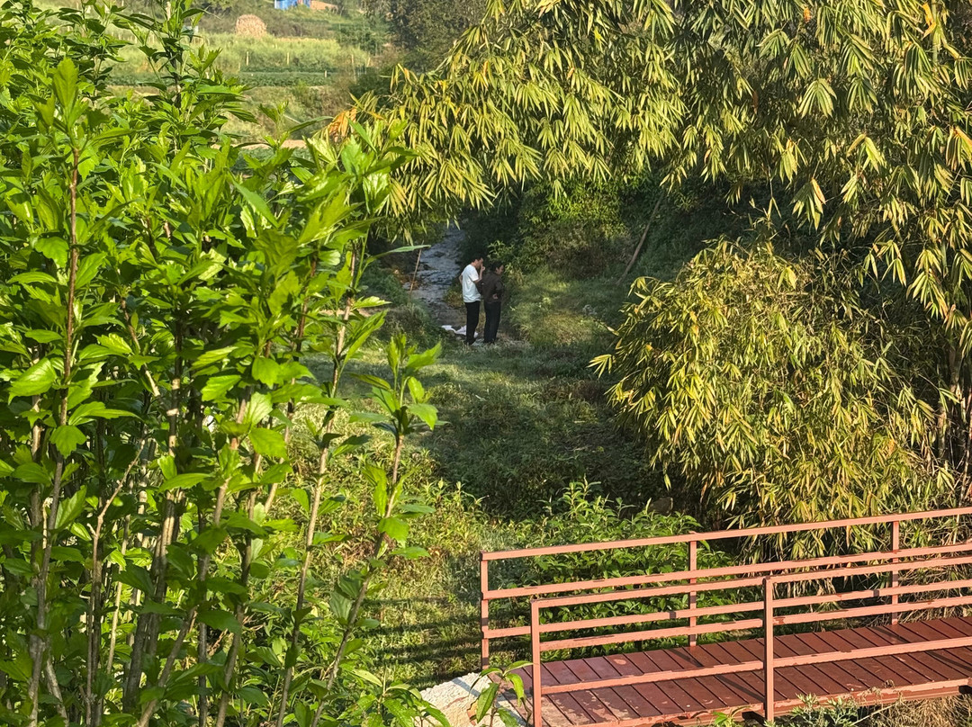 The Farm Stays at Herb Nepal主图