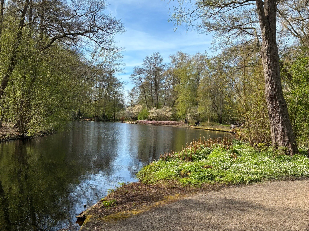 De Braak-阿姆斯特尔芬必去景点