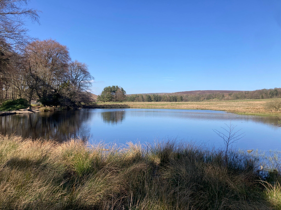 Longshaw Estate-峰区国家公园必去景点