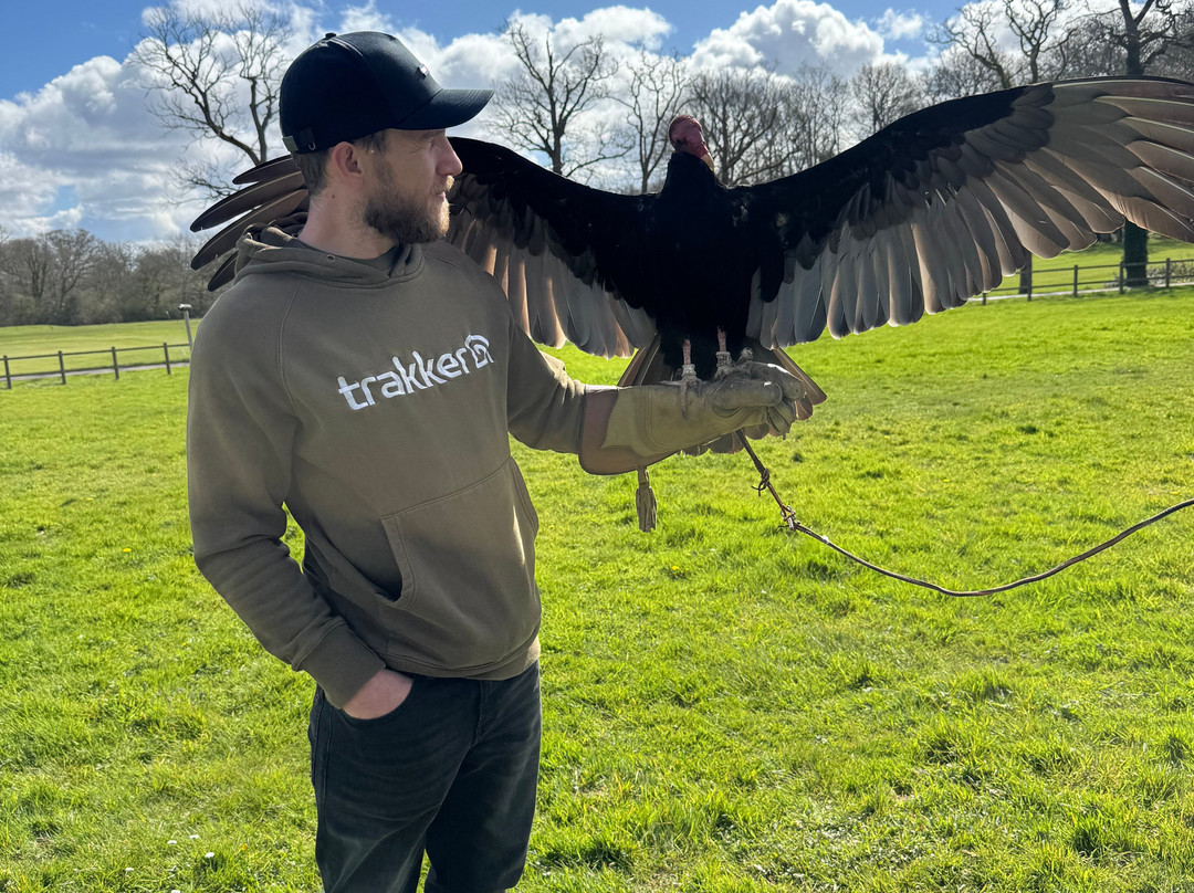 Surrey Hills Falconry-Ockley必去景点