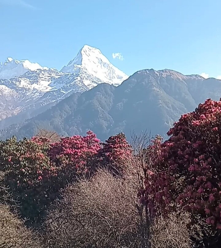 The Sunny Hotel主图