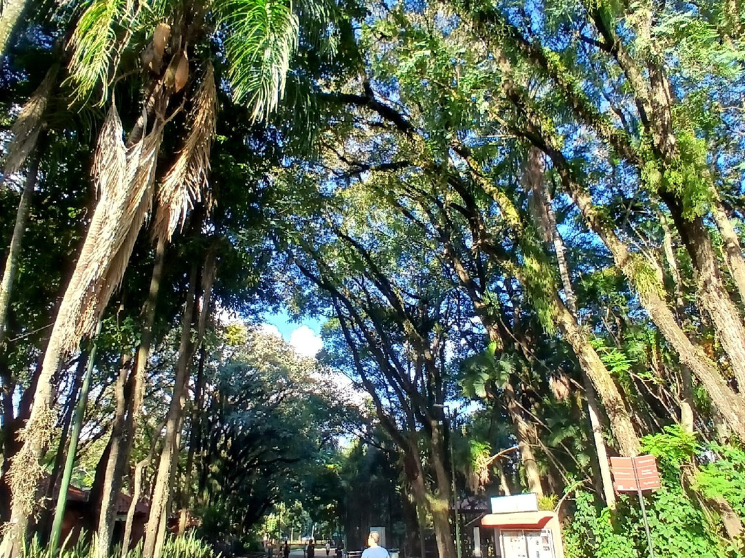 Parque Portugal-坎皮纳斯必去景点