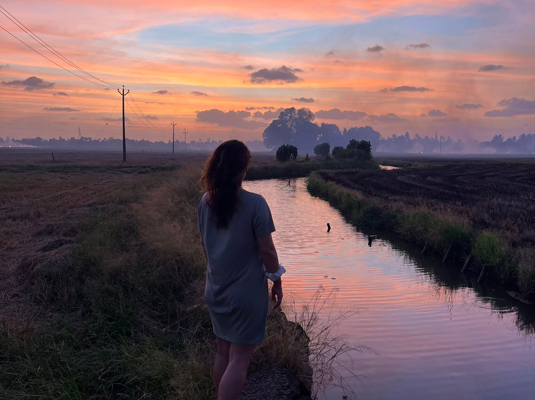 Kalappura Houseboats-阿拉普扎必去景点