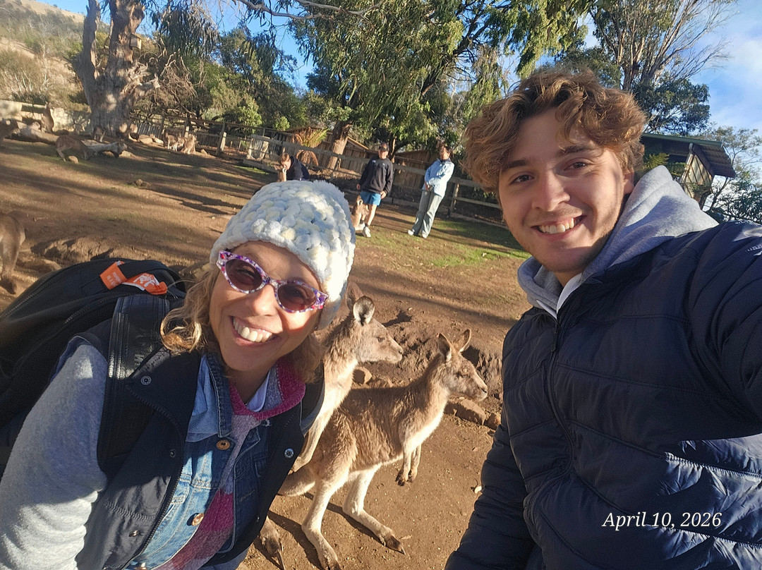 波诺朗野生动物园-Brighton必去景点