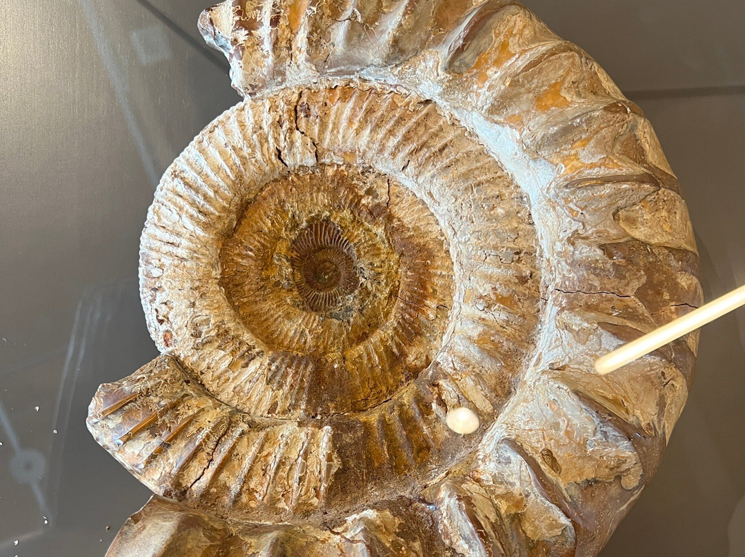 Universum Bremen-不莱梅必去景点