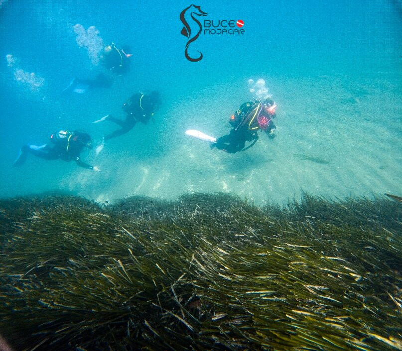 Buceo Mojacar-莫哈卡尔必去景点