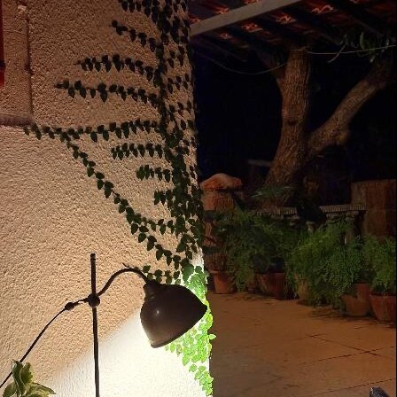 Capella Forest Retreat & Homestay主图