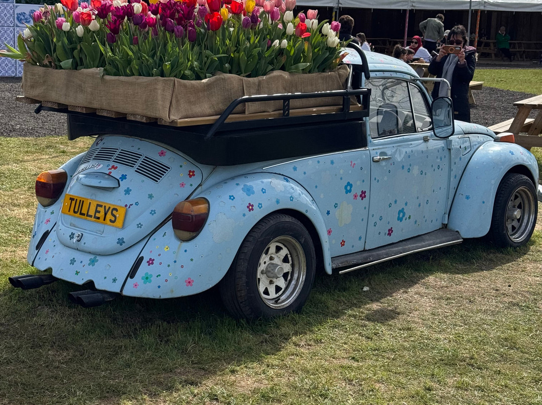Tulleys Tulip Garden - Warwickshire-沃里克必去景点