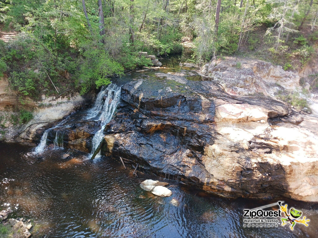 ZipQuest Waterfall & Treetop Adventure-费耶特维尔必去景点