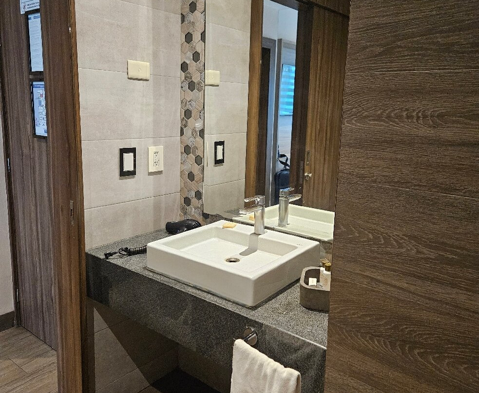 雷亚尔马斯特莱扎酒店主图