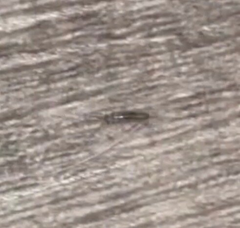 Sømna Kro & Gjestegård主图