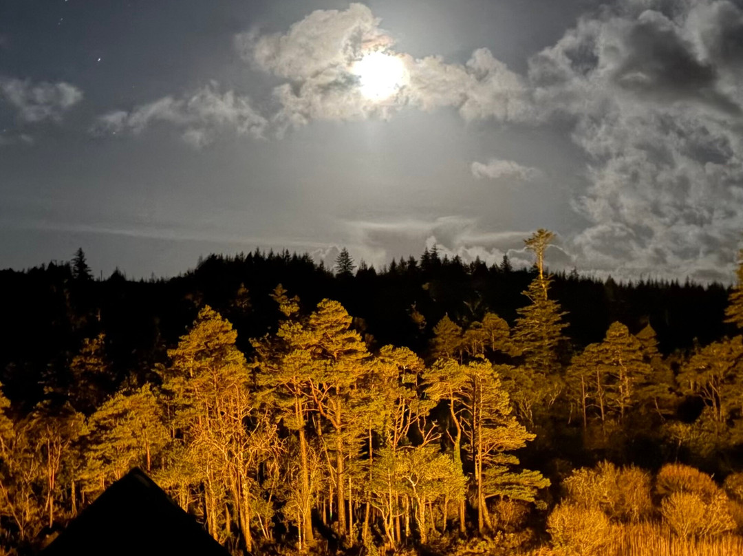 巴利纳城堡酒店主图