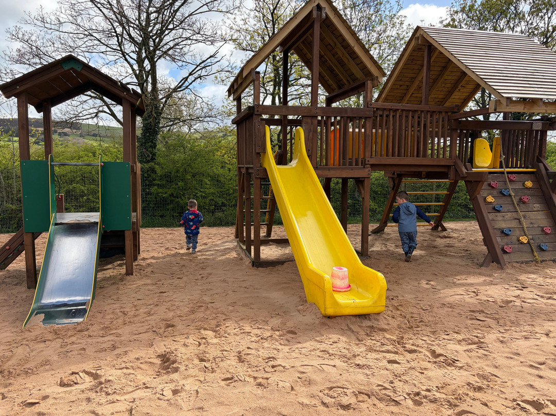 Cockfields Farm Park-Ashton-under-Lyne必去景点