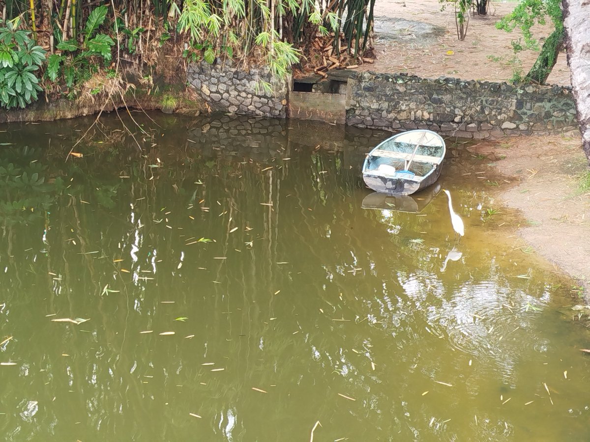 德维尔萨尔瓦多高级酒店-旅行者